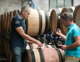 Altesse - Favresse, Cru Marestel, barrique - Savoie - Cave du Prieure Haut Jongieux