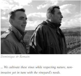 Chardonnay - Vieilles Vignes, Pouilly Fuisse, Domaine Cornin,