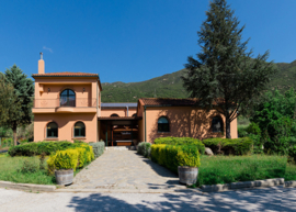 Xinomavro,  Krasato, Sirovoto -  Rapsani PDO,  Dougos Winery, Griekenland
