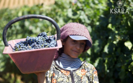 Cabernet Sauvignon - Chateau Ksara   - Libanon