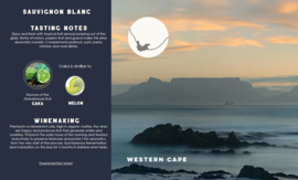 Sauvignon Blanc -  Kumusha Wines, Western Cape, Zuid Afrika