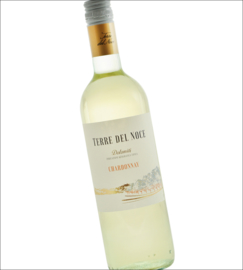 Pinot Grigio - Dolomiti - Trentino Alte Adige - Terre del Noce - Mezzacorona