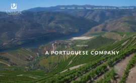 Touriga Franca, Touriga Nacional, Sousão en Tinta Roriz - Reserva, Vallegre - Douro