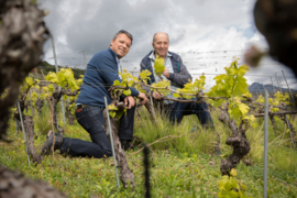 Chasselas - Les Terrasses, Fendant de Vetroz - Jean René Germanier - Zwitserland