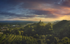 Refosco- Italo Cescon - Veneto IGT