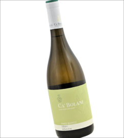 Pinot Bianco - Ca Bolani, Friuli