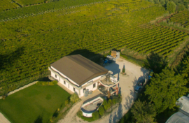 Trebbiano, Sauvignon Blanc  - Spinalba -  Venea Vini Abruzzen