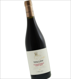 Pinot Nero - Blauburgunder, Alto Adige, Tolloy