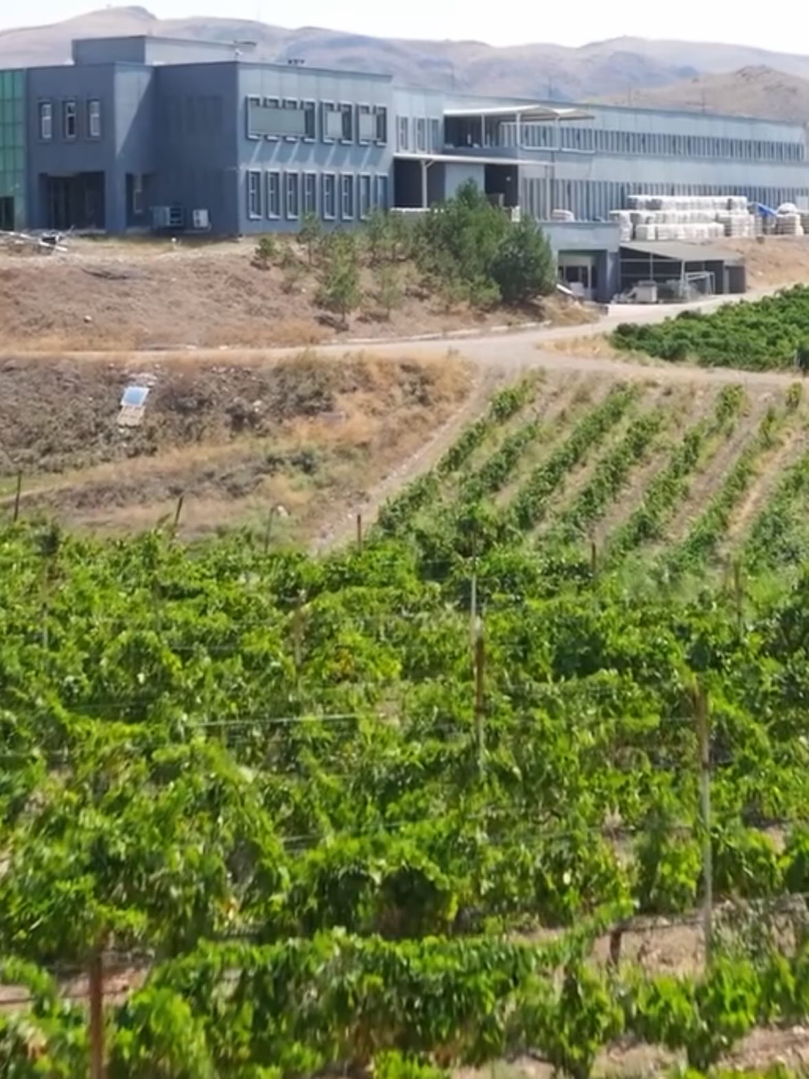 Kalecik Karasi - Vinkara Wines, Kalecik, Anatolie, Turkije