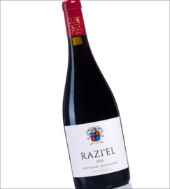 Syrah, Carignan - Razi El, Domaine du Castel, Jeruzalem, Haute Judee,  Israel