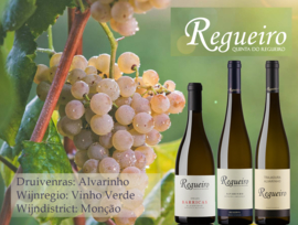 Alvarinho, Trajadura – Quinta do Regueiro,  Vinho Verde Portugal