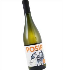 Posip  - Dalmatian Dog,  Smokvica village, Korcula Island Kroatie