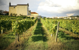 Touriga Nacional, Syrah, Aragonez-  Castelo do Sulco Tinto Reserva - Lissabon - Quinta do Gradil