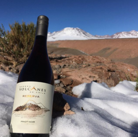 Pinot Noir -  Reserva - Bodega Volcanes - Chili