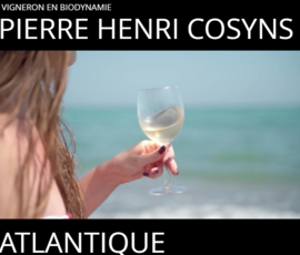 Sauvignon Blanc - Atlantique, Chateau Grand Launay - Pierre-Henri Cosyns, Bordeaux