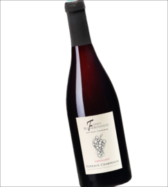 Pinot Meunier -  Coteaux Champenois Rouge, Fabien Bergeronneau