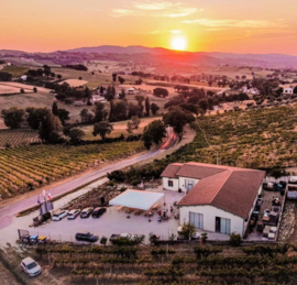 Sagrantino - La Veneranda, Montefalco, Umbrie