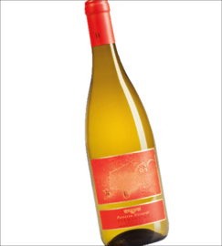Vermentino - Ben - Nittardi, Toscane, Maremma