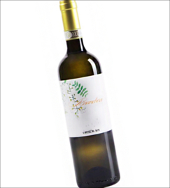Erbaluce - Di Caluso D.O.C.G. Bianchera, Tenute Orsolani