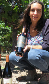 Carmenere -  Reserva - Bodega Volcanes - Chili