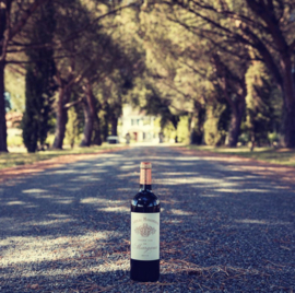 Cabernet Sauvignon, Merlot, Petit Verdot - Chateau Monbrison, Grand Vin de Margaux