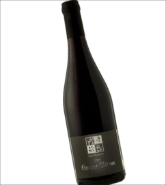 Spatburgunder -  Carpe Diem, Ahr, Weingut Paul Schumacher