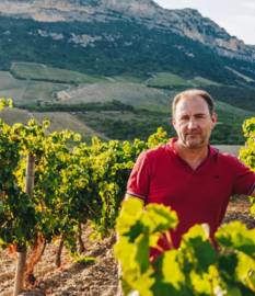 Vermentu, Biancu Gentile, Carajolu -  Quattru Blanc, Domaine Ligenda, Corsica