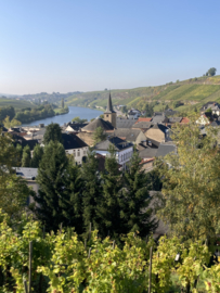 Riesling - Prestige Grand Premier Cru Ehnerbierg, Caves Jean Leuck Thull, Luxemburg