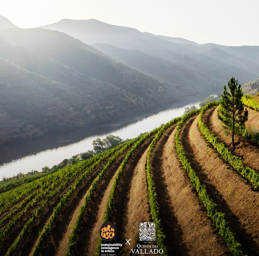 Touriga Nacional - Rosé , Quinta do Vallado, Douro