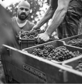 Nebbiolo - Barolo 2016, Negretti,  Piemonte