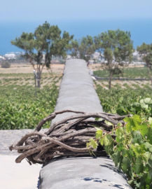 Assyrtiko  - Cuvee Evdemon,  Argyros, Santorini, Griekenland