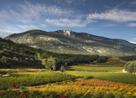 Grenache, Syrah, Merlot, Carignan - Les Calades, Mont Baudile, Fonjoya
