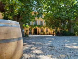 Carignan Blanc  -  Vieille Vignes, Mas de Lavail, Cotes Catalanes