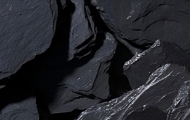 Gamay -  Cru Morgon, Maison J. Thorin, Beaujolais