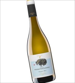 Sauvignon Blanc - Escudero Valdelagunde, Rueda