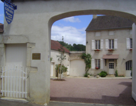Chardonnay - Savigny Les Beaune,   Domaine Jean-Jacques Girard