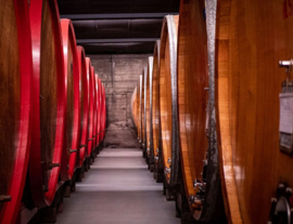 Nebbiolo - Gattinara, Azienda Travaglini, Gattinara, Piemonte