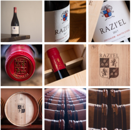 Syrah, Carignan - Razi El, Domaine du Castel, Jeruzalem, Haute Judee,  Israel