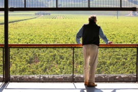 Cabernet sauvignon, Cabernet Franc, petit verdot- Othello, Dominus Estate Napa Valley