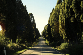 Merlot, Cabernet Sauvignon, Cabernet Franc - Passi di Orma, Orma, Toscane, Bolgheri