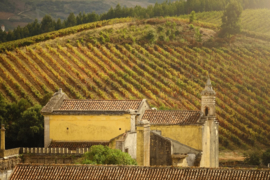 Touriga Nacional, Petit Verdot, Syrah - Magnum Castelo do Sulco Tinto Reserva - Lissabon - Quinta do Gradil