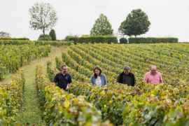 Pinot Noir - Clos Vougeot Grand Cru , Comte de Montebello, Chateau Corton C, Caroline Frey, Bourgogne