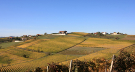 Chardonnay - Pratorotondo, wijnhuis L Armangia, Piemonte