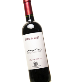 Tempranillo - Dama del Lago - Roble - Castilla Y Leon