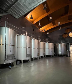 Hondarrabi Zuri - Txakolina, Txakoli -  Bodega Hiruzta - Baskenland