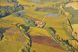 Albana - Vigna Rocca, Tre Monti - Romagna Orange Wine - oranje wijn