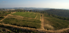 Cabernet Sauvignon, Merlot, Petit Verdot, Cabernet Franc- Grand Vin - Domaine Castel - Israel
