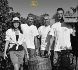 Trebbiano, Garganega, Trebbianello, Cortese, Chardonnay - Custoza, Garda,