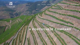 Touriga Franca, Touriga Nacional, Sousão en Tinta Roriz - Reserva, Vallegre - Douro