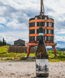 Pecorino - Abruzzo DOC, Contesa